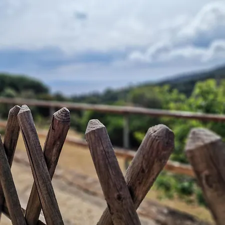 Le Querce App. Mirto דירה